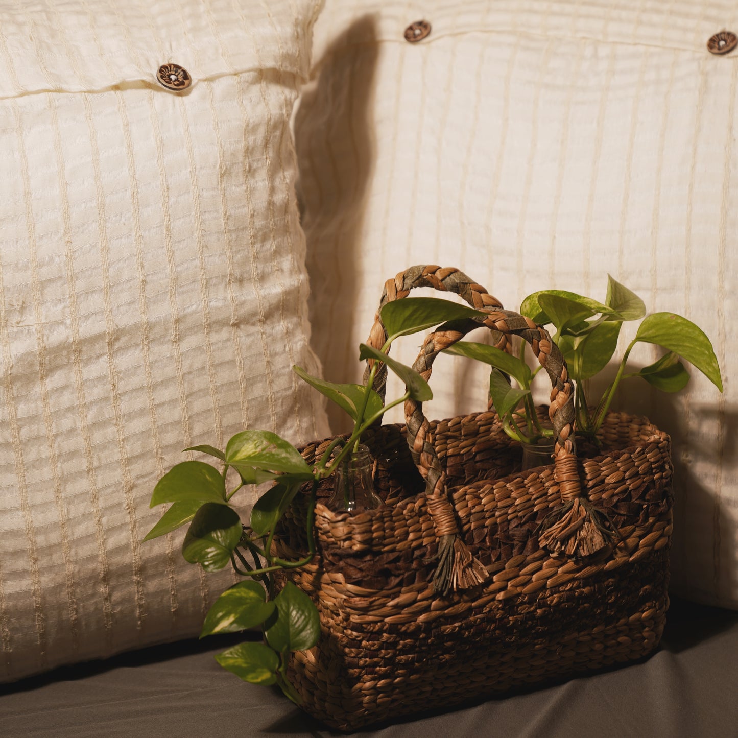 Nettle Luxe (Set of 5)