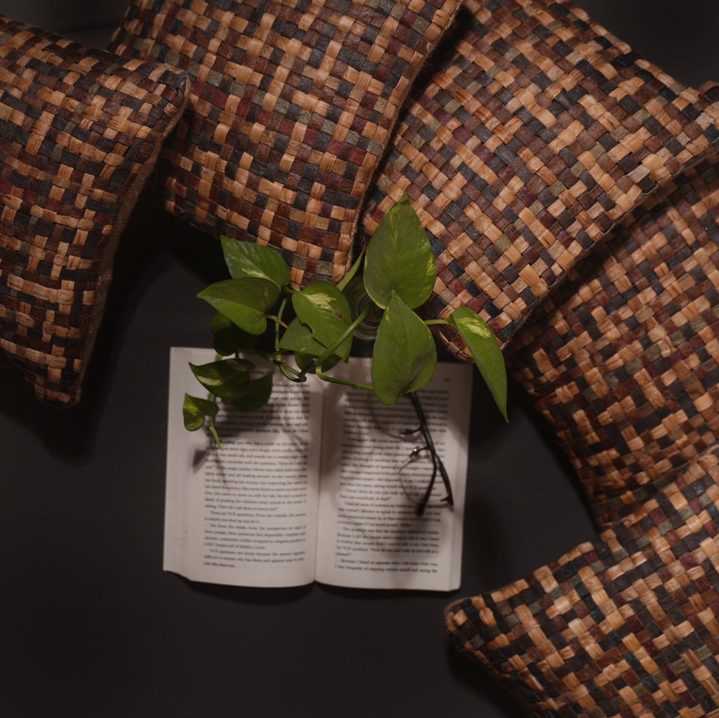 Texle Harmony VeLeaf Cushion (Set of 5)
